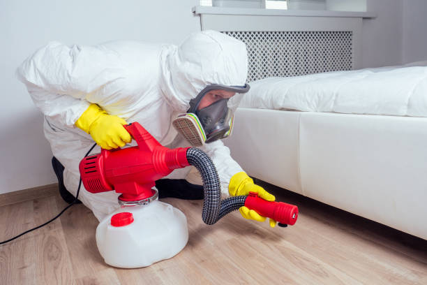 Reliable Riverdale, NJ Pest control Solutions